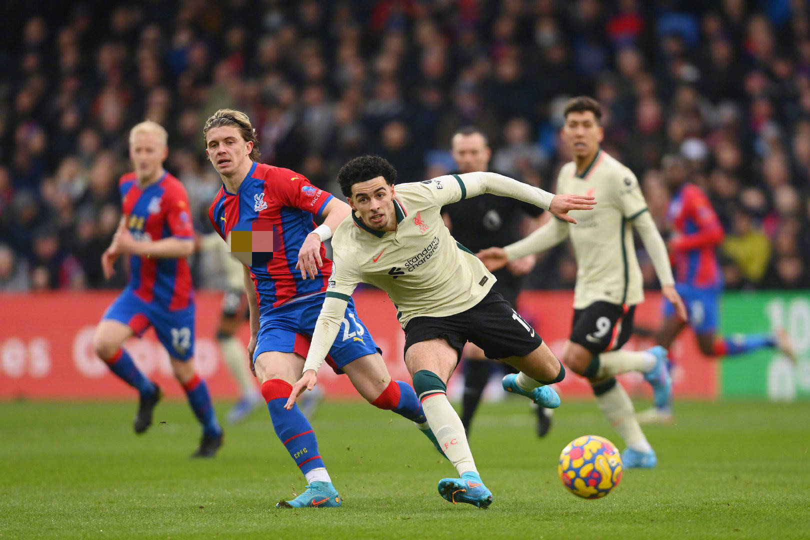 著名教练安 著名教练安