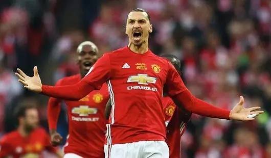 夏洛特黄蜂 夏洛特黄蜂